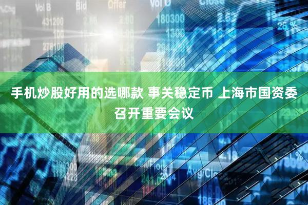 手机炒股好用的选哪款 事关稳定币 上海市国资委召开重要会议